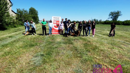 Wolontariusze z "Psijaznej  dłoni" zaprosili na spacery i treningi z pupilami