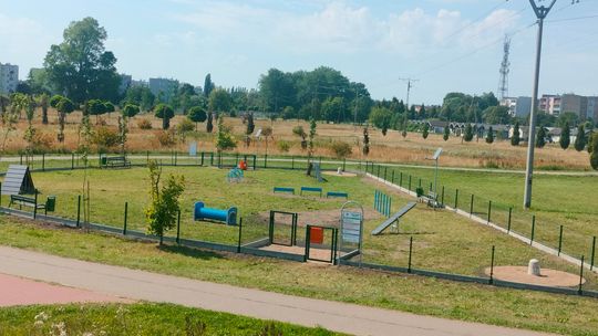 Wybieg dla psów przy ul. Żołnierzy Wyklętych jest już gotowy. Wkrótce otwarcie
