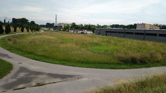 Wybieg dla psów w Płońsku do końca wakacji