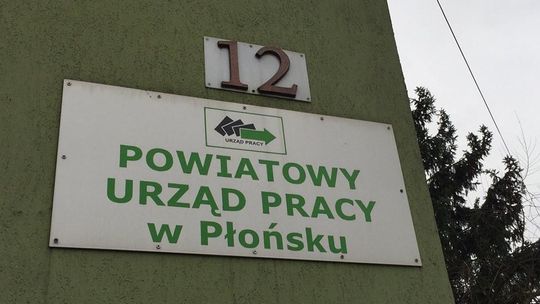 Wyniki PUP w Płońsku powyżej średniej krajowej