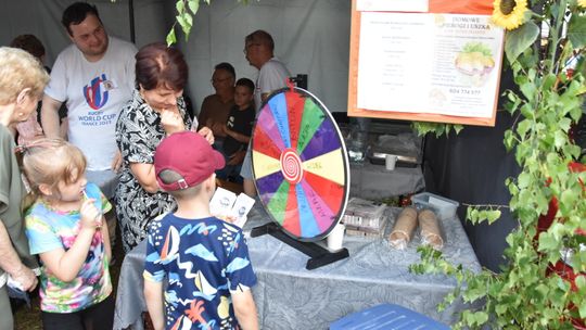 Zabawa nad zalewem. Za nami XII Jarmark Nowomiejski