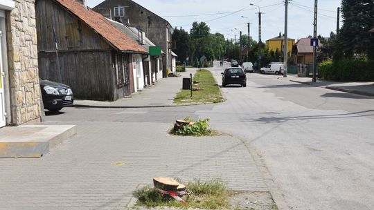 "Zafundowano nam asfaltowo-betonową pustynię" - wycinka drzew w Sochocinie