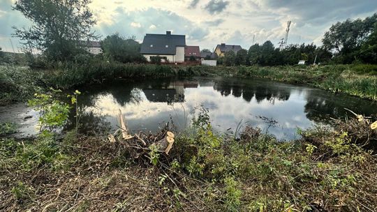 Załuski: ruszyły prace przy stawie – będzie nowy teren zielony i niespodzianka
