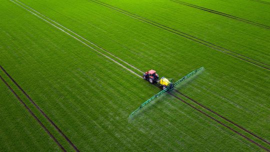 Zboża ozime — co warto wiedzieć
