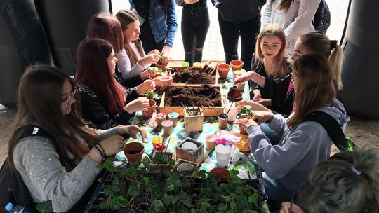 "Zielony" piknik przy ZS1 w Płońsku