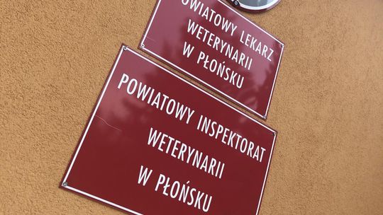 Zmiana rozporządzenia w sprawie grypy ptaków. Gmina i miasto Raciąż bez ograniczeń