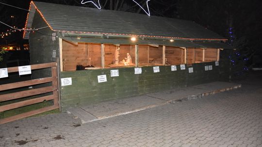 Zwierzęca szopka od piątku przy par. pw. Maksymiliana Kolbego w Płońsku