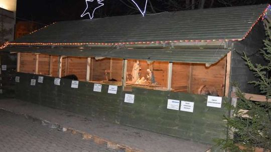 Zwierzęca szopka ponownie w płońskiej parafii Zwierzęca szopka ponownie w płońskiej parafii