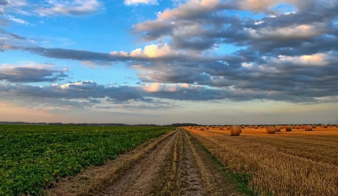 10 gmin z powiatu płońskiego otrzyma wparcie na drogi dojazdowe do gruntów rolnych 