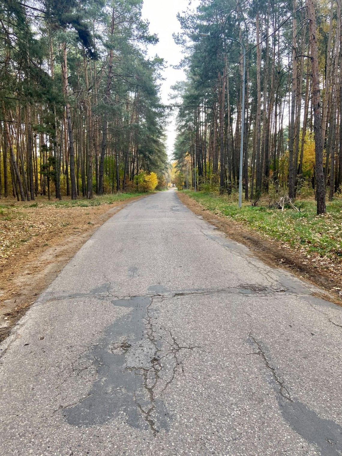 Będzie dalsza przebudowa ul. Leśnej. Mieszkańcy będą mogli też zmienić źródło ogrzewania