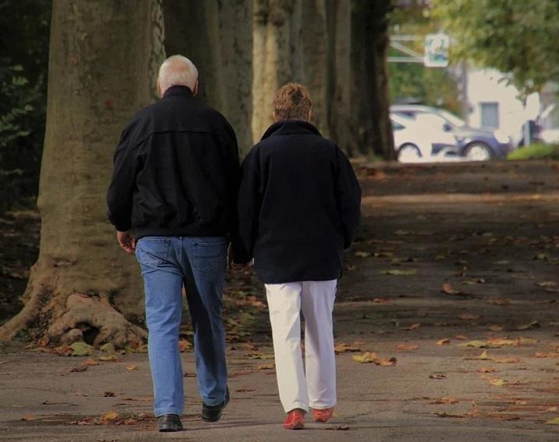 Bezpieczeństwo seniorów na drodze 