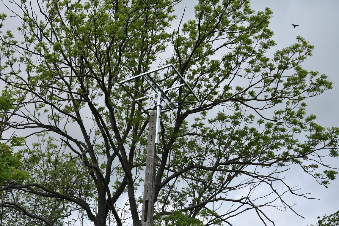 Bocianie słupy stanęły na Poświętnem 