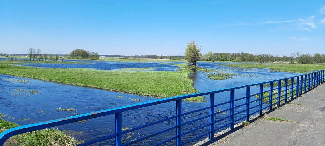 Budowa zbiornika retencyjnego "Kraszewo" na rzece Raciażnicy 