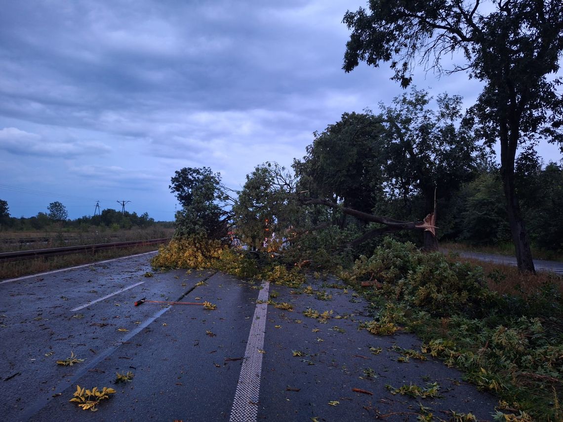 Burze w regionie nie były groźne, ale strażacy interweniowali kilkadziesiąt razy