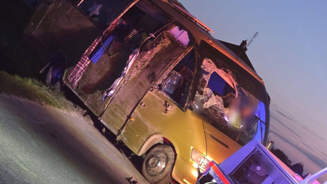 Bus w rowie pod Baboszewem. Kilka osób rannych