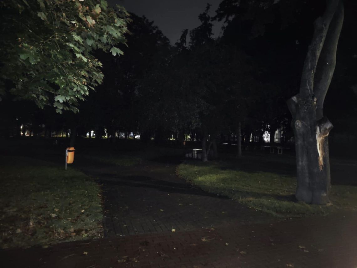 Ciemności w parku Konstytucji 3 Maja. Wkrótce ma się to zmienić