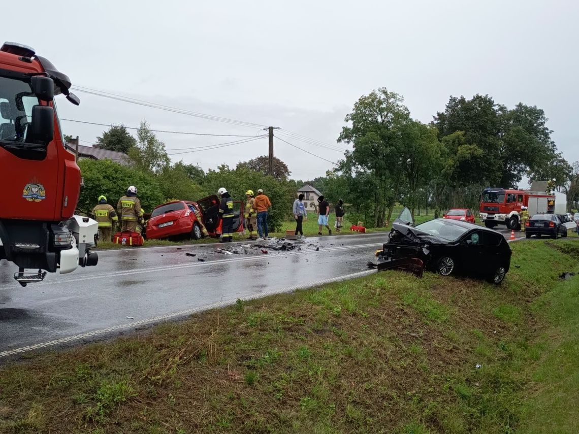 Czołówka na drodze wojewódzkiej Płońsk-Nowe Miasto. Są osoby poszkodowane Czołówka na drodze wojewódzkiej Płońsk-Nowe Miasto. Są osoby poszkodowane