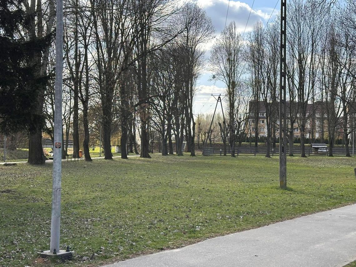 Demontaż starego oświetlenia w Parku Wolności w Płońsku