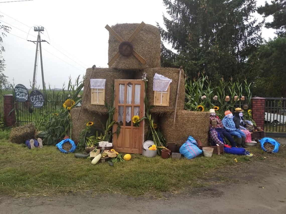 Dożynki w Baboszewie już w niedzielę. Możecie uratować ludzkie życie