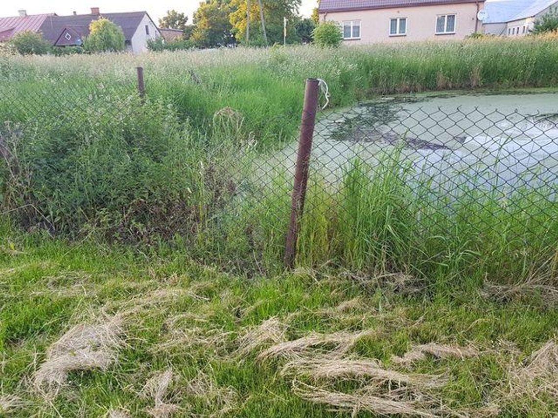 Działka niczyja … Zarośnięta i pachnie jak pachnie