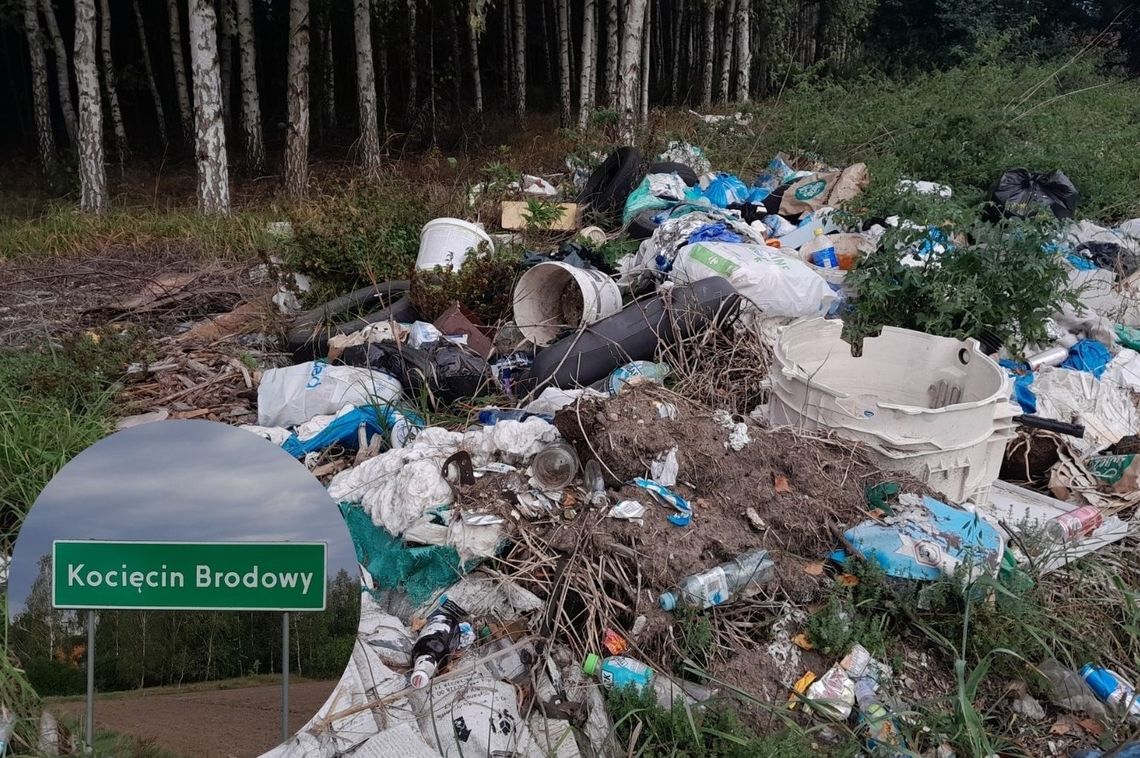 Dzikie wysypisko pod Unieckiem. Będzie fotopułapka, problem wraca