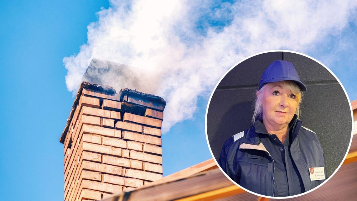 Ekodoradca rusza w teren – jakie są jego zadania?