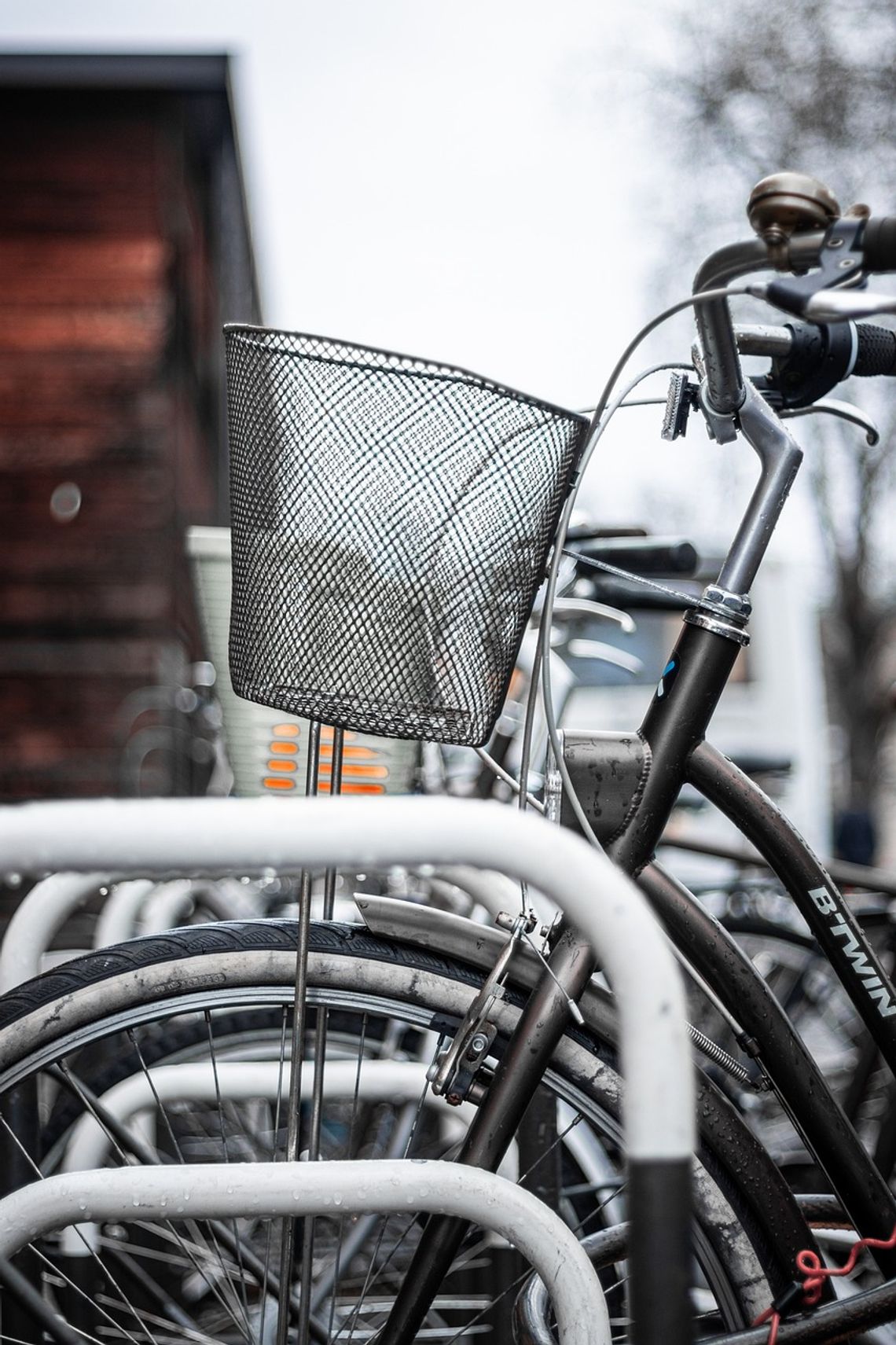 Eurovelo na Mazowszu. Będą nowe ścieżki rowerowe i to aż 1 100 km