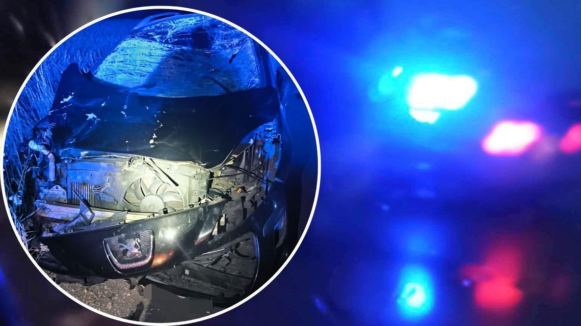 Groźne zderzenie z łosiem. Zwierzę nie przeżyło, kierowca z niewielkimi obrażeniami