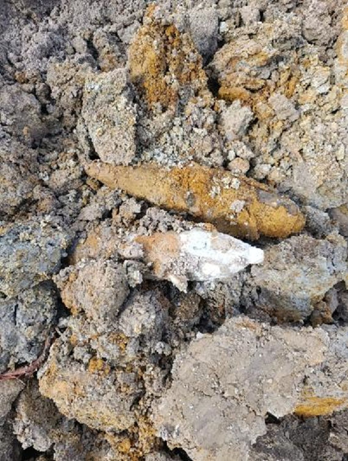 Groźne znalezisko w gminie Płońsk. Niewybuchy na prywatnej posesji