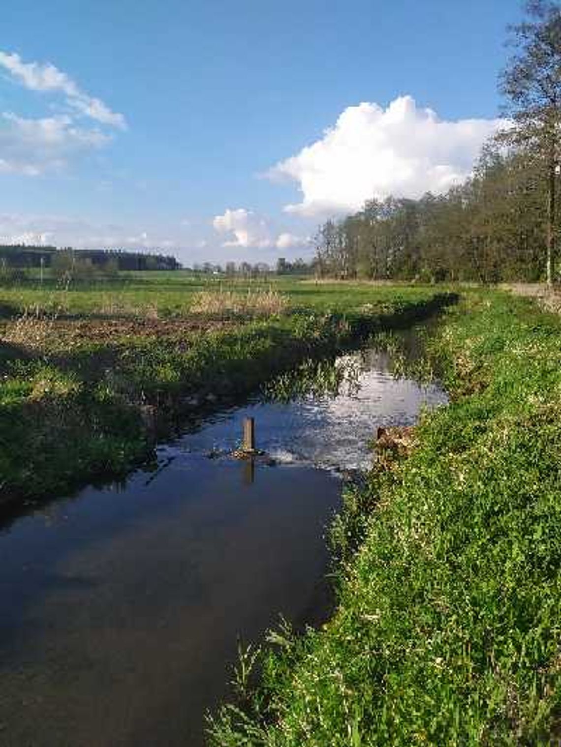 Jazy z terenu powiatu płońskiego zostaną odbudowane Jazy z terenu powiatu płońskiego zostaną odbudowane
