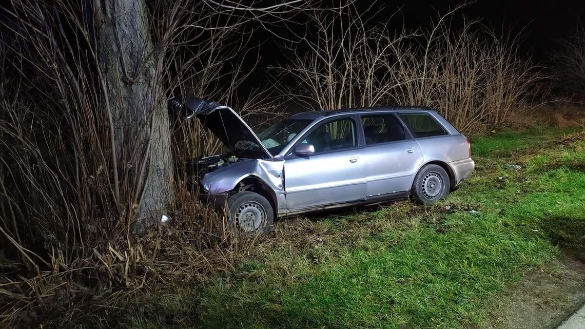 Kierowca audi podróż zakończył na drzewie