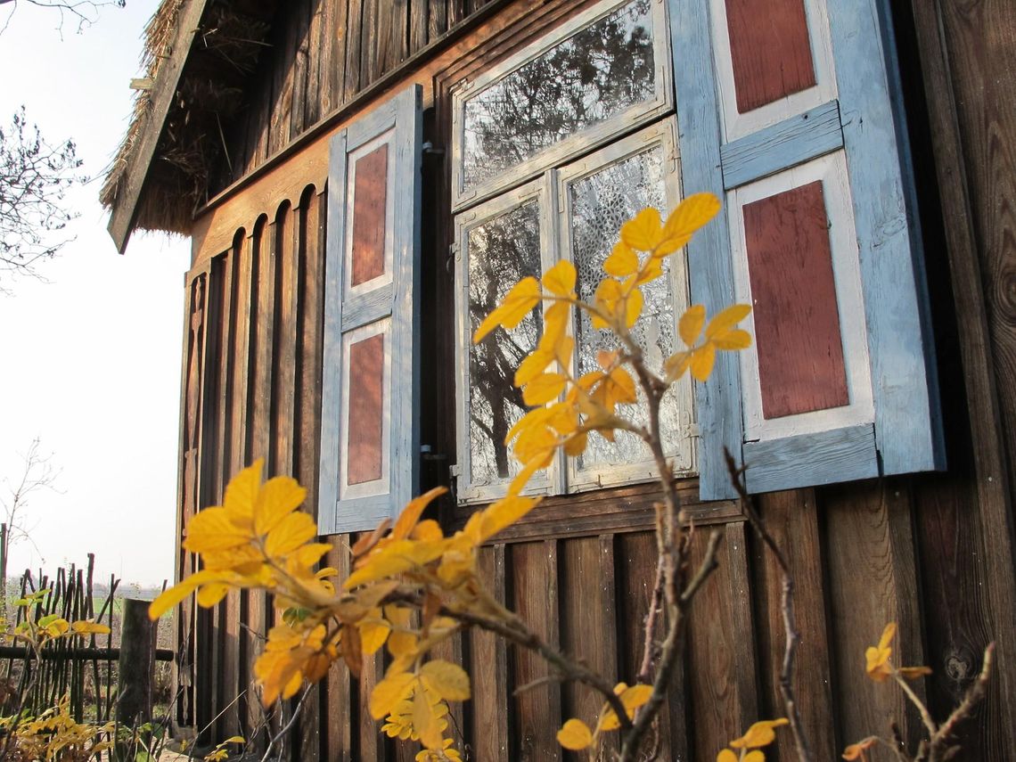 Konkurs fotograficzny na 50-lecie istnienia Muzeum 