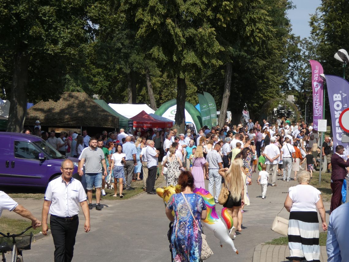 Kramy, bryczki, koncerty i inne atrakcje. Dwa dni dobrej zabawy podczas XI Jarmarku Raciąskiego (fotogaleria)