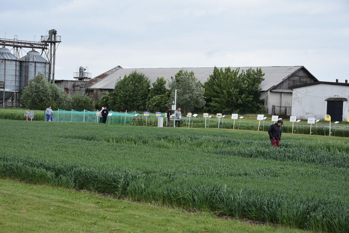MDR inne niż dotychczas, ale mimo wszystko cieszące się dużym zainteresowaniem MDR inne niż dotychczas, ale mimo wszystko cieszące się dużym zainteresowaniem