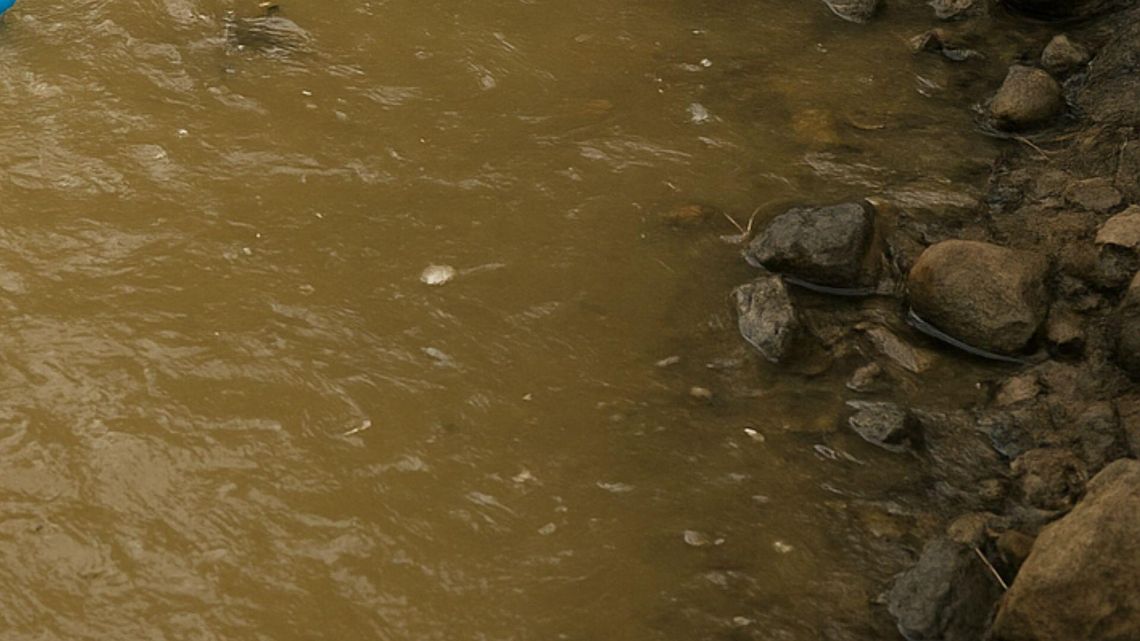 Mętna woda i niedobór tlenu we Wkrze. Władze apelują o unikanie kontaktu