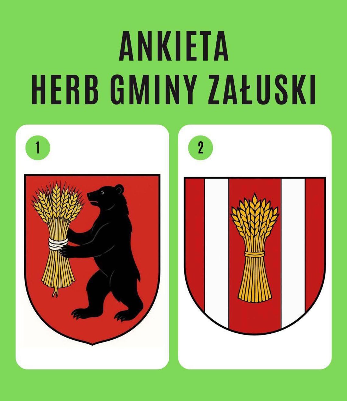 Mieszkańcy Gminy Załuski wybiorą swój herb