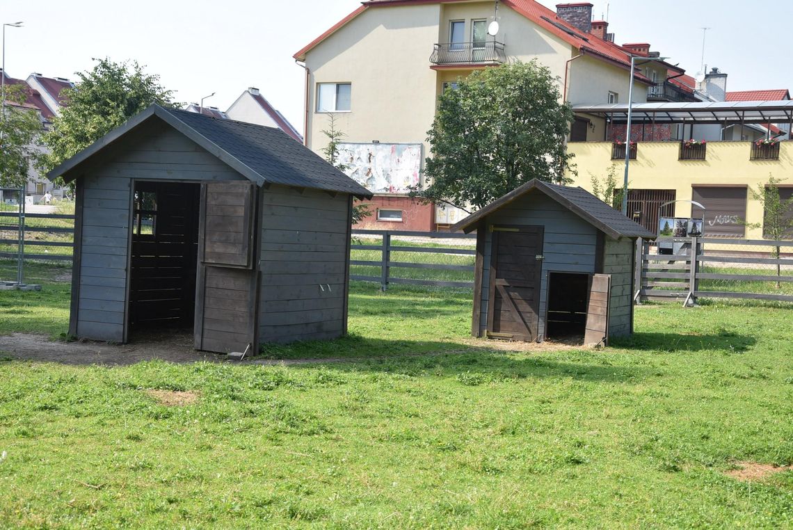 Mini zoo nie zostanie zamknięte. Być może pojawią się w nim nowe zwierzęta Mini zoo nie zostanie zamknięte. Być może pojawią się w nim nowe zwierzęta