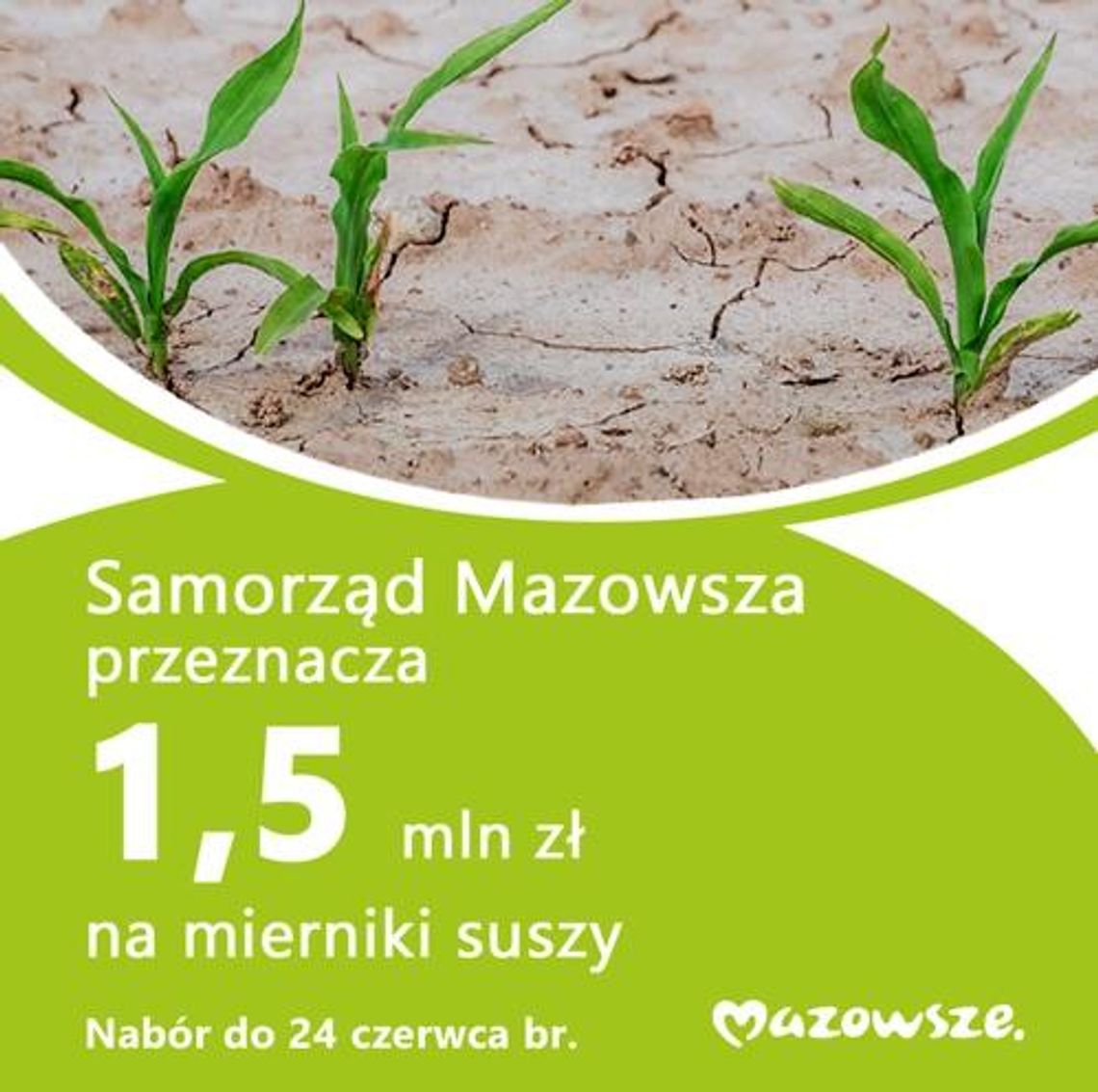 Monitoring suszy na Mazowszu. Samorząd wojewódzki czeka na wnioski