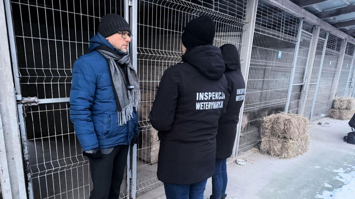 Mrozy na Mazowszu. Wojewoda zlecił kontrole schronisk dla zwierząt