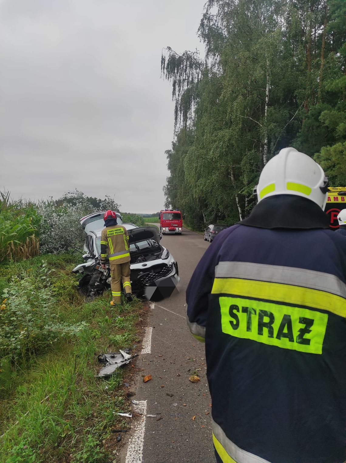 Nasielsk: na drogę wybiegł dzik. Auto uderzyło w drzewo