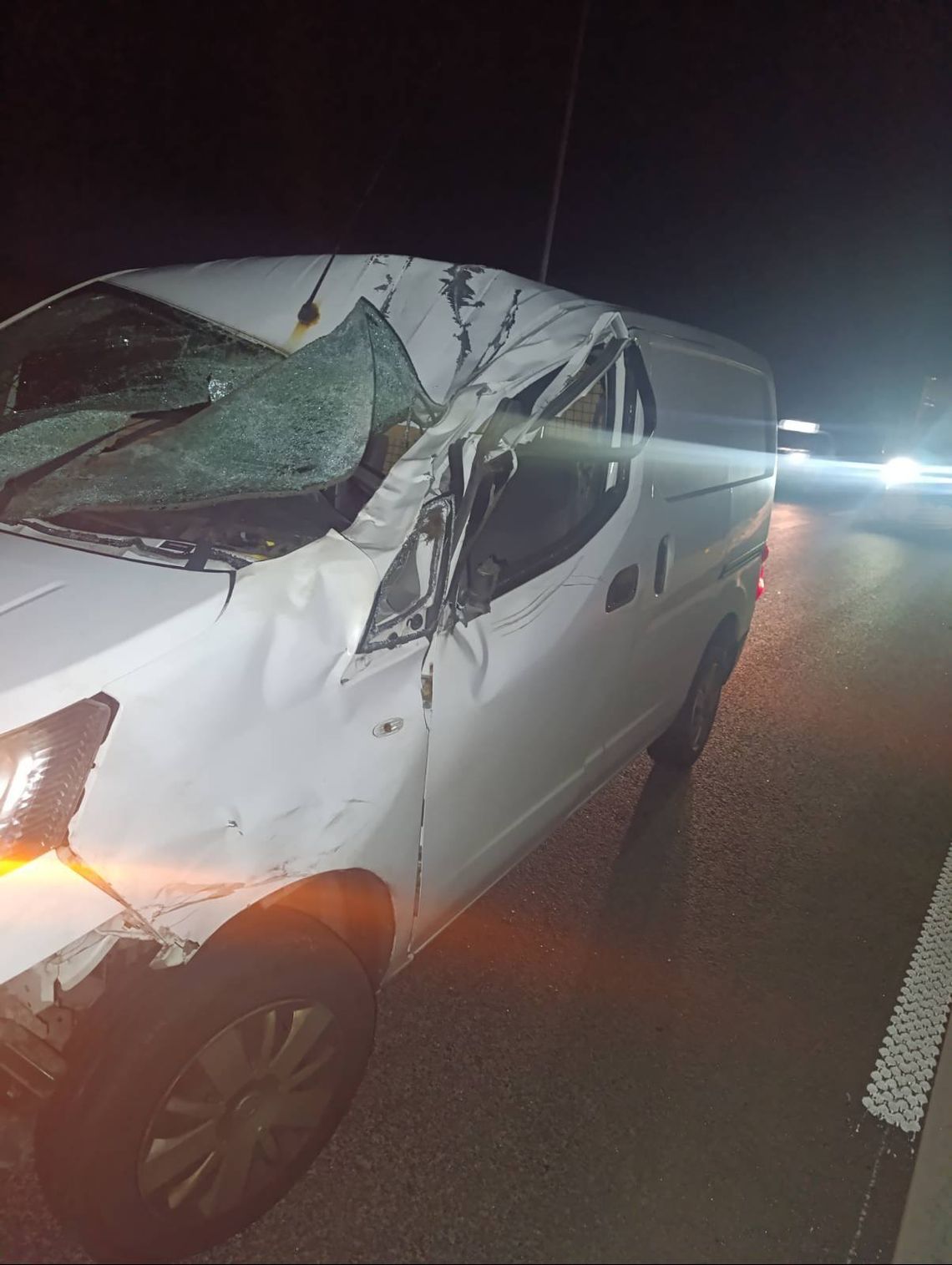 Nocne zderzenie z łosiem w Niepiekłach