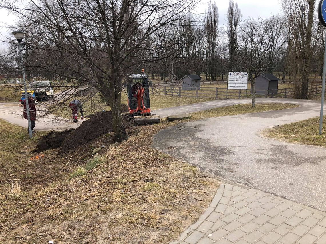 Nowe oświetlenie w parku Wolności, w którym wiosną mają zagościć zwierzęta