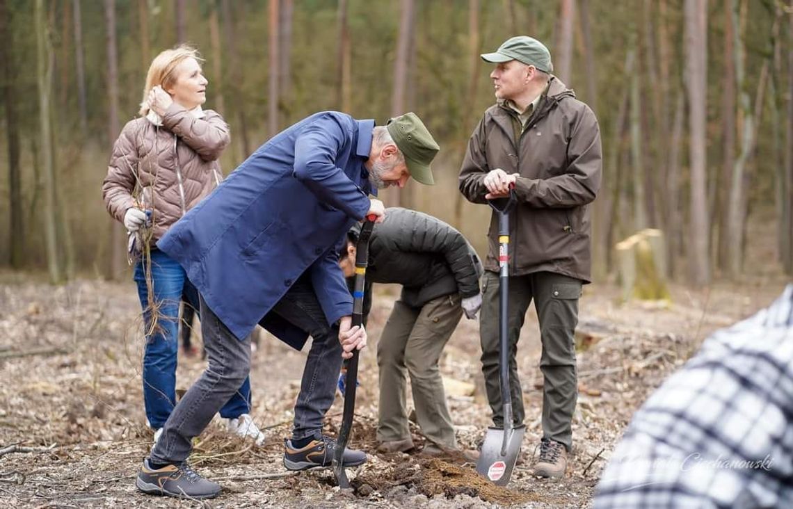 Pod Ciechanowem sadzą Las Pamięci Jana Pawła II