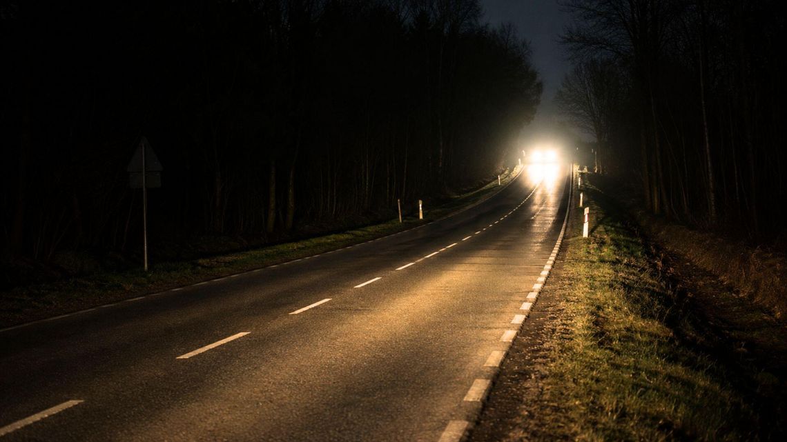 Policja ostrzega: coraz więcej zwierząt na drogach Policja ostrzega: coraz więcej zwierząt na drogach