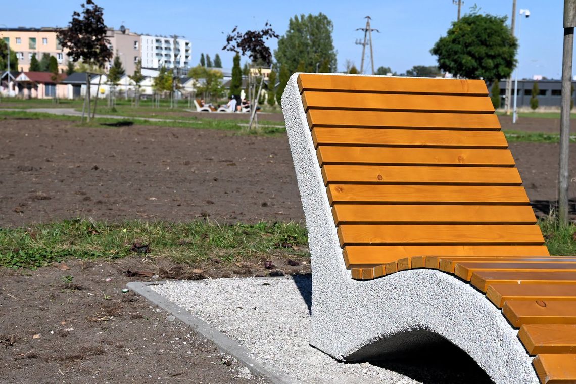 Ponad 1,3 hektara kolorów i nowe leżaki nad Płonką