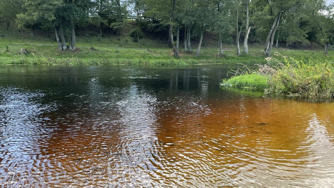 Poprawa jakości wód we Wkrze, Raciążnicy i Orzycu – koniec stałego monitoringu