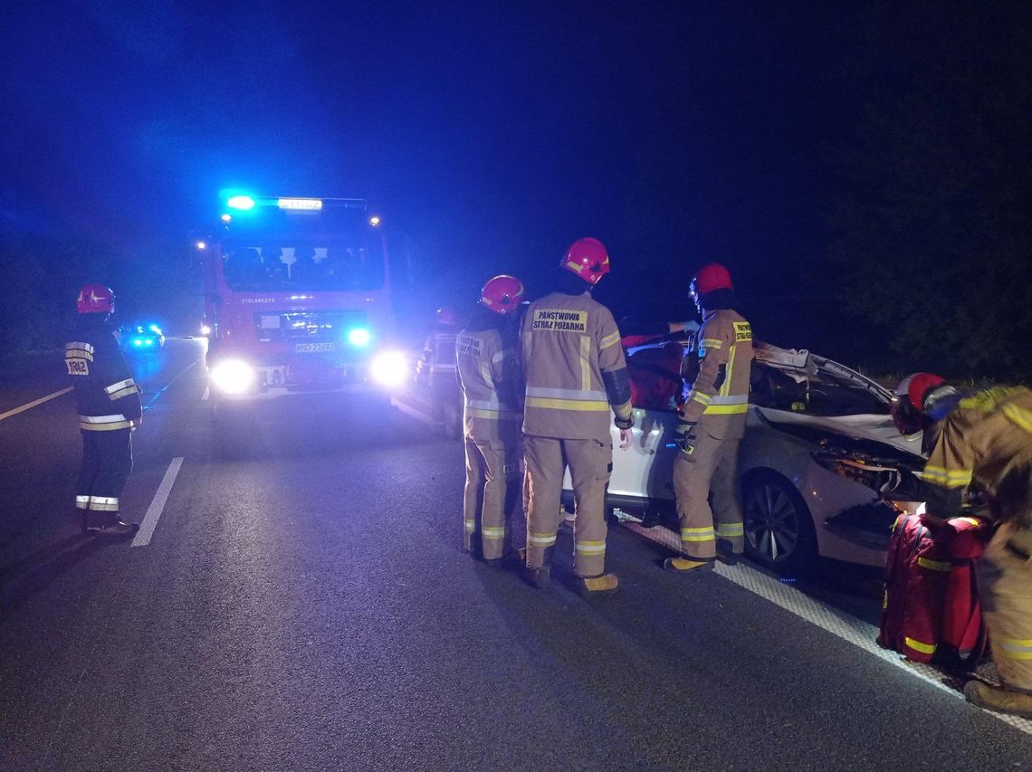 Poseł PiS w szpitalu. Uderzył na drodze w łosia Poseł PiS w szpitalu. Uderzył na drodze w łosia