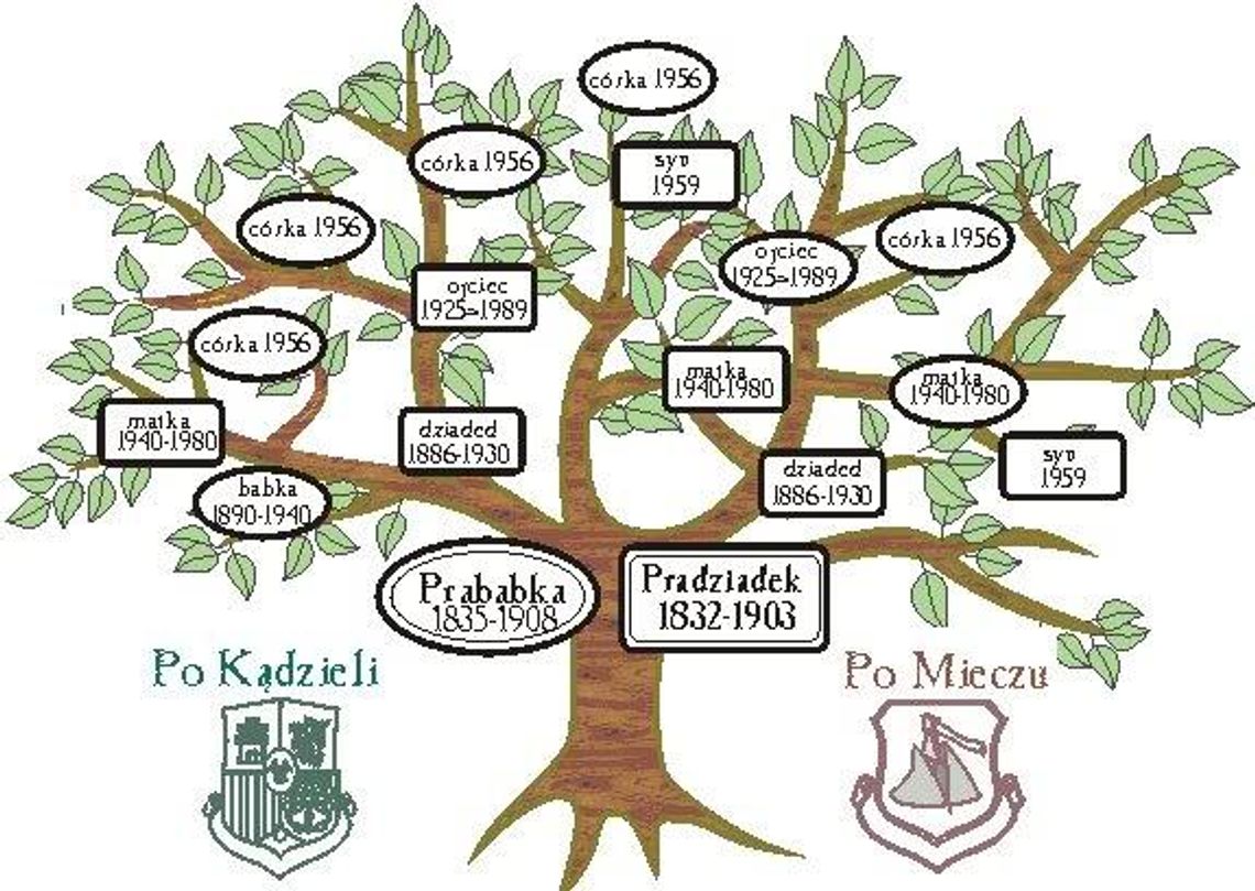 Poznaj tajemnice drzewa genealogicznego!