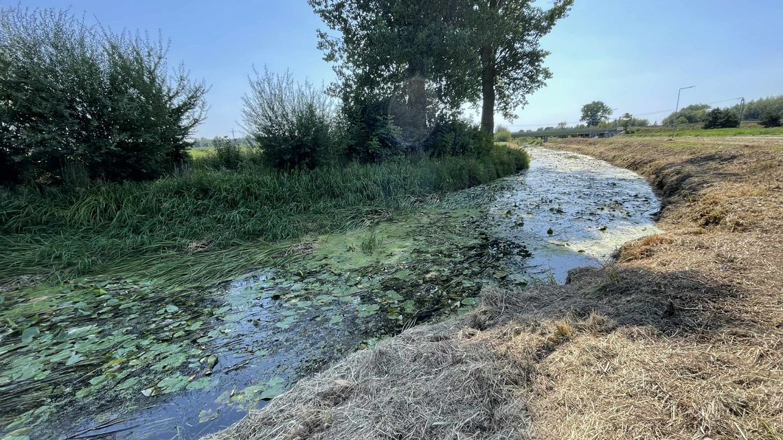 Prace w korytach rzek Płonki i Raciążnicy w sierpniu