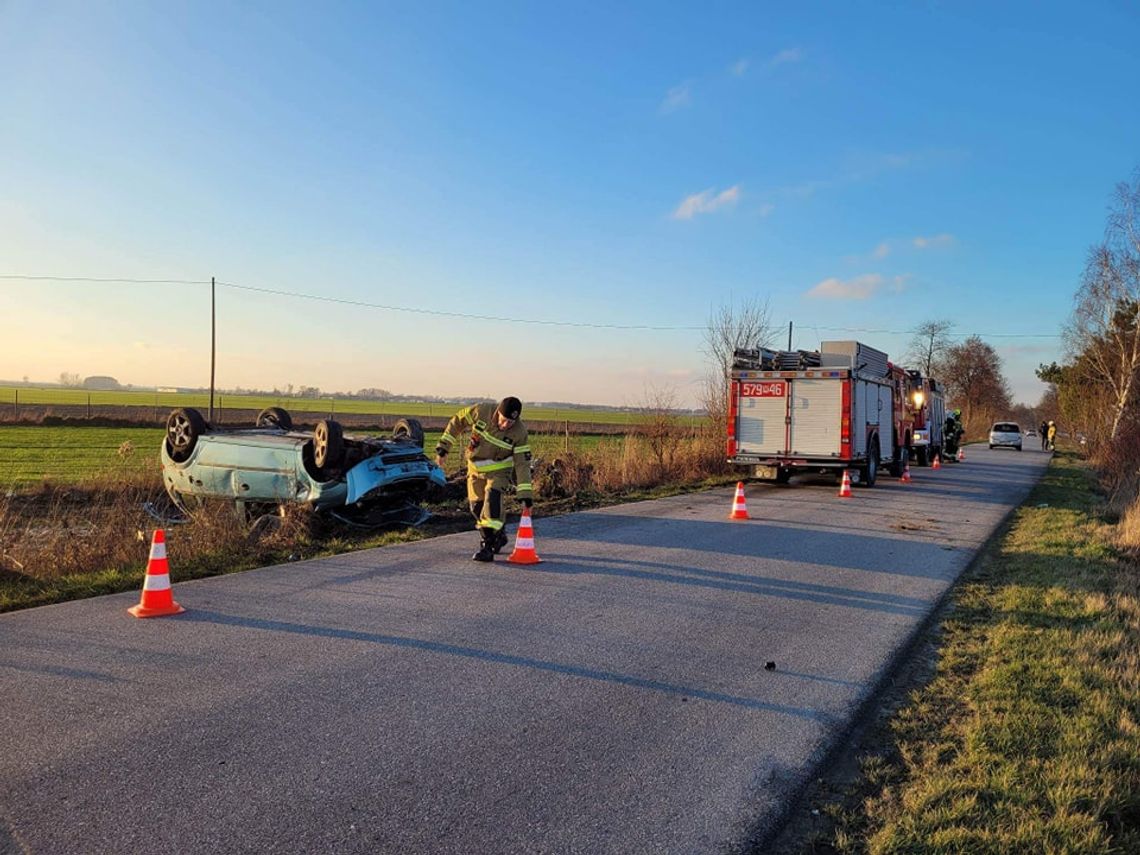 Przebiegająca sarna powodem dachowania samochodu